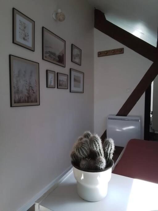 Charmante Petite Maison Vieux  外观 照片